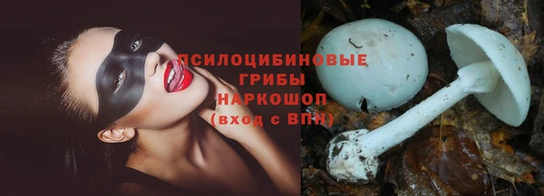 спиды Богородск