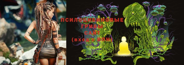 прущая мука Богданович
