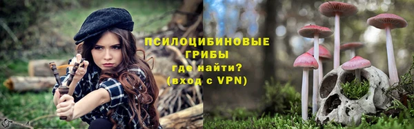 спиды Богородск