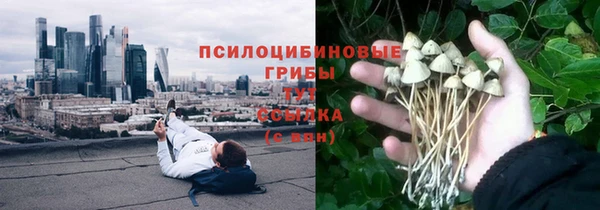 прущая мука Богданович