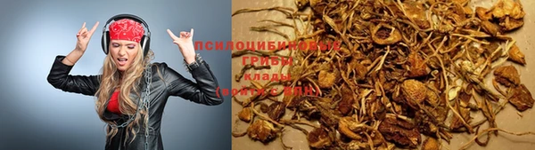 спиды Богородск