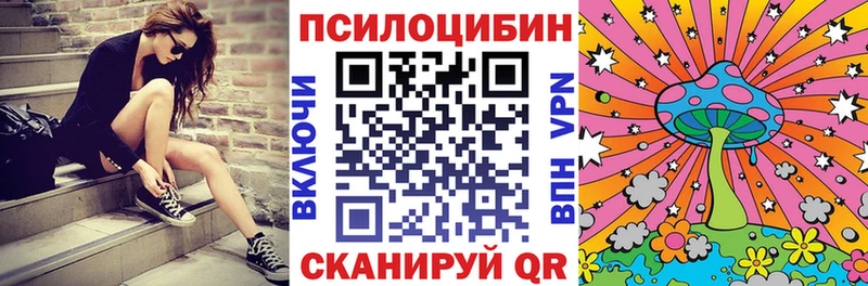 Псилоцибиновые грибы Magic Shrooms  Тверь 